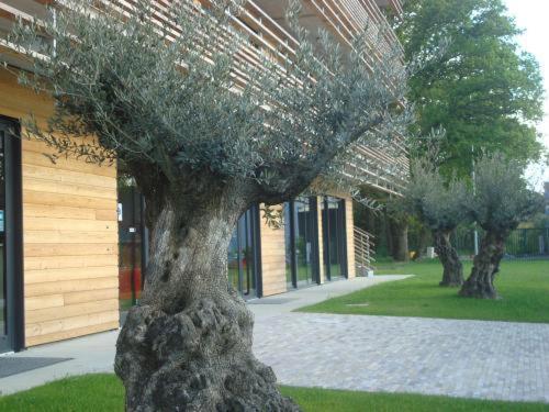 The Originals City, Hotel Anaiade, Saint-Nazaire Pornichet Zewnętrze zdjęcie